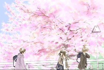 夜来香研究所视频今日上新